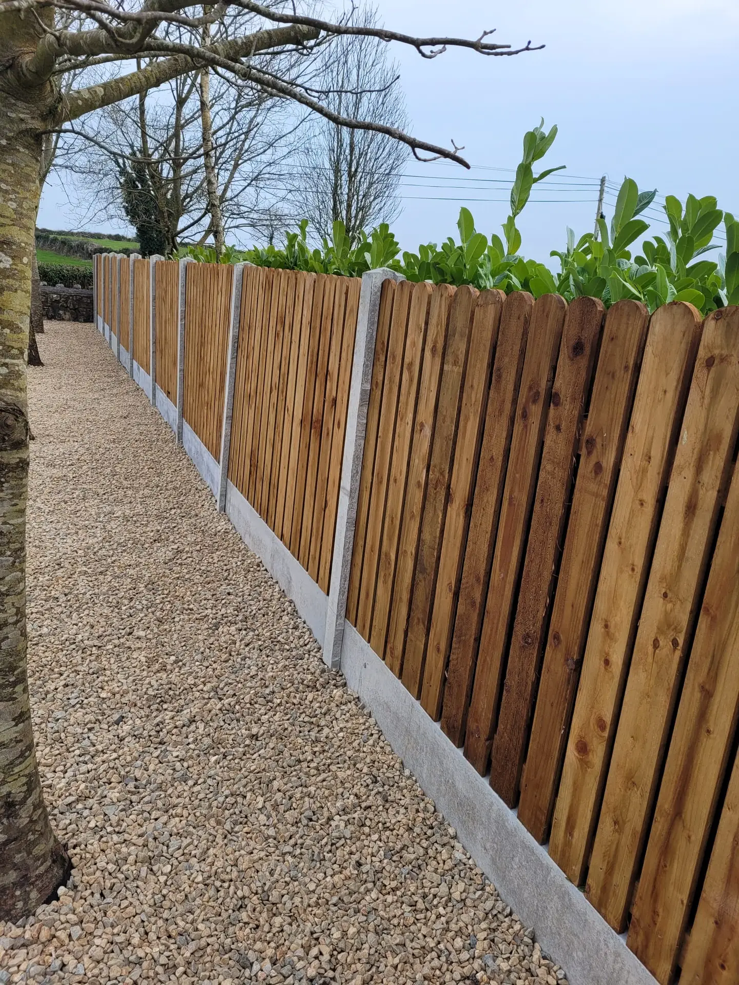 Long timber fence with concrete posts lining a gravel walkway in a landscaped garden